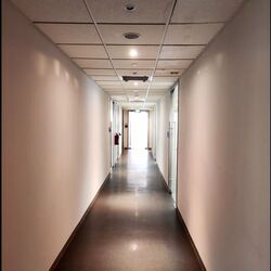 Tan Chong Tower (D7), Office #622589331
